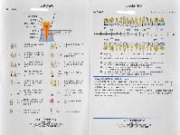 歯の漂白（ホワイトニング）